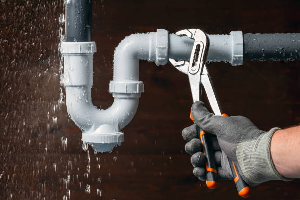 Professional Plumber technician working in Holmes, PA